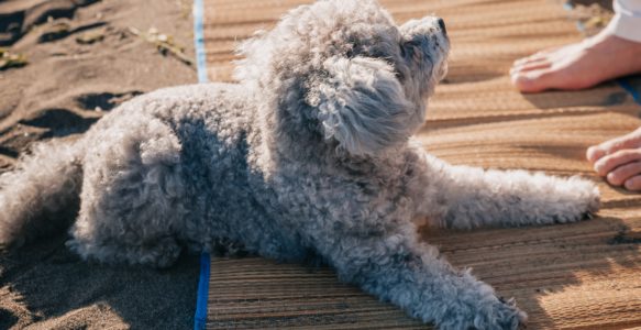 Why is “Place” an Important Skill?