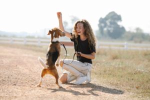 https://www.pexels.com/photo/excited-woman-teaching-dog-to-beg-7210458/