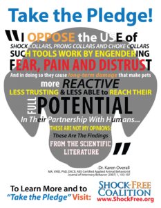 I pledge to NEVER use or advocate for shock or electronic collars, prong or choke collars, or any other tools that use fear, pain, or discomfort to teach.