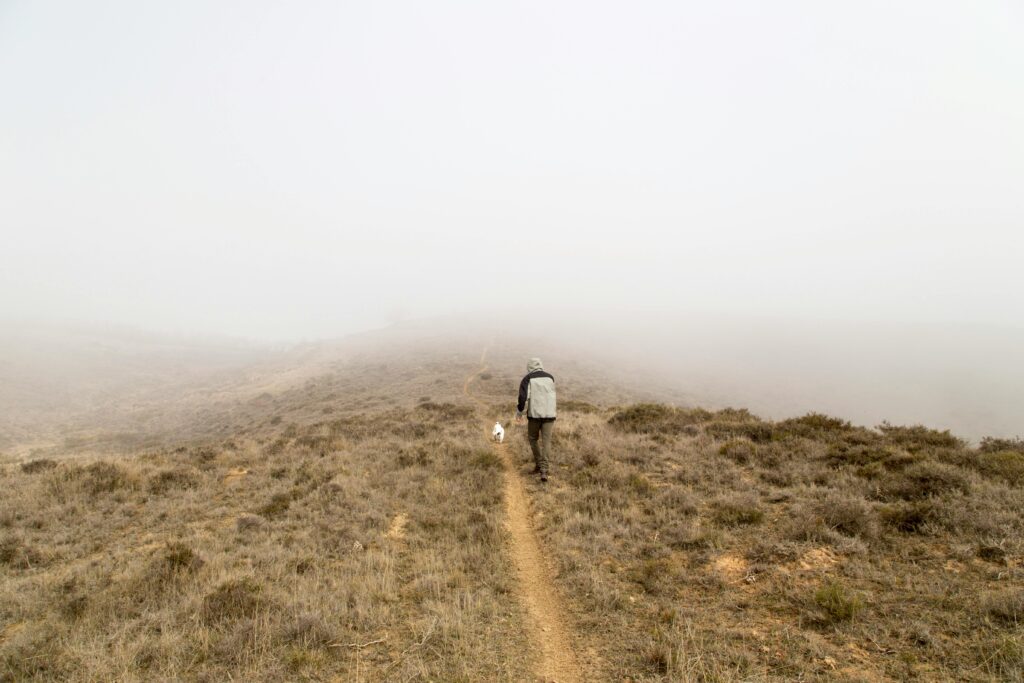 Photo by Ilargian Faus: https://www.pexels.com/photo/man-walking-on-top-hill-covered-of-fog-1629778/ Your Happy Dog Coach dog trainer yarmouth nova scotia what if ethical respectful relationship based bond connection