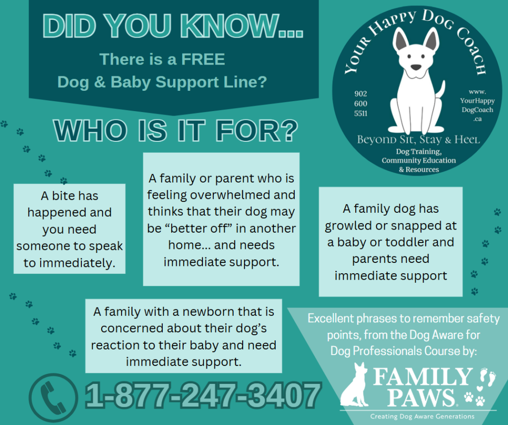 Your Happy Dog Coach happily shares the information that Family Paws offers a support line to call a toll free number if a bite has happened and you need to speak to someone immediately. If you have a newborn and you're concerned about your dog’s reaction to your baby and need immediate support, or if your family dog has growled or snapped at a baby or toddler and you need immediate support, or if you are a family member or parent who is feeling overwhelmed and thinks that your dog may be “better off” in another home, you can call 18772473407 to speak to professionals to help guide you.