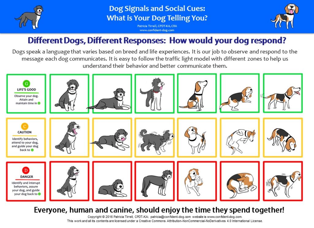 Different levels of comfort by https://www.confident-dog.com/infographics?pgid=iz34dgfx-11b85905-a3b6-4b4a-8c87-f2b029d3cd5b