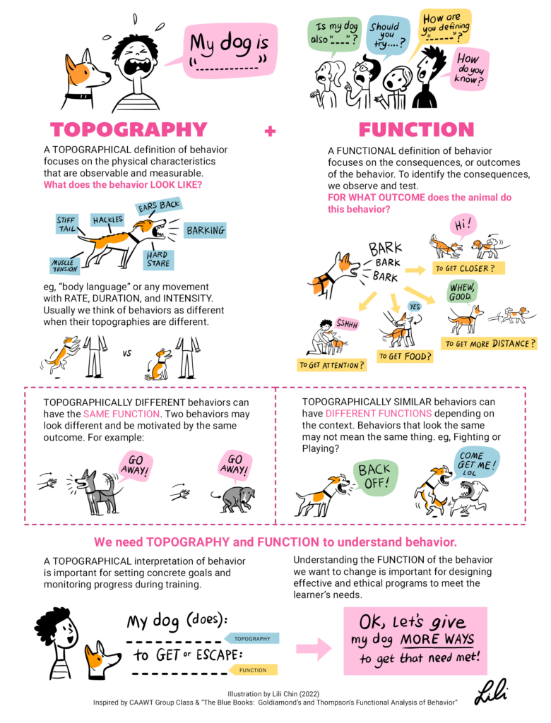 Lili Chin's topography + Function infographic