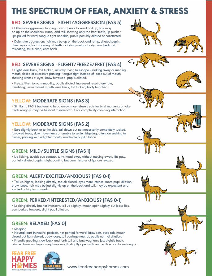 Spectrum Ladder of Fear, Stress and Anxiety for dogs
