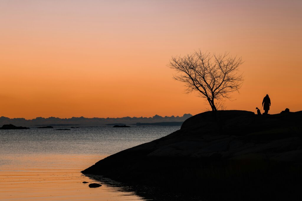 A reflective dog trainer moment, choosing advocacy of dogs over ego, popularity, and even income.