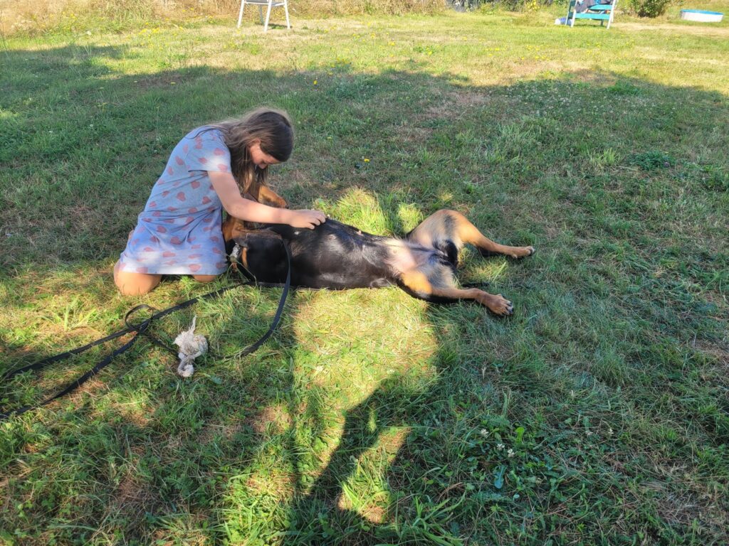 Luna gets a belly rub
