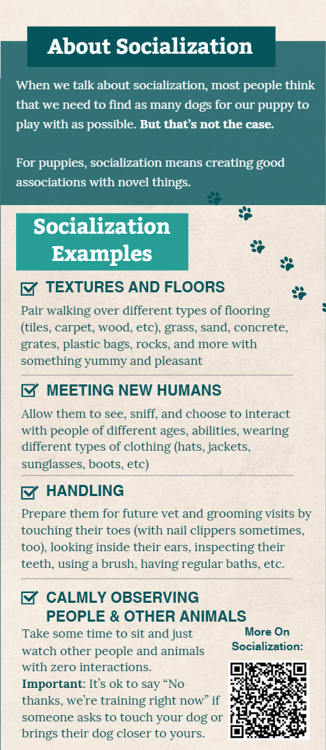 Brochure 4 Your Happy Dog Coach Wecome Home New Pup