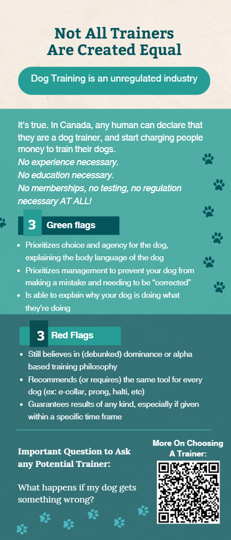 Brochure 5 Your Happy Dog Coach Wecome Home New Pup