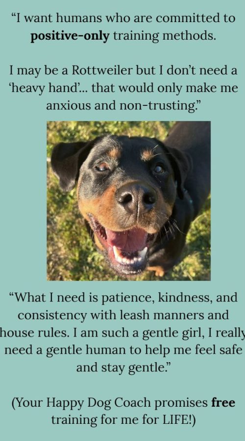 A strong dog doesn't need a strong hand, they need love, patience and understanding. Positive reinforcement works on Rottweilers just as well as it works on whales, lions, and bears in captivity