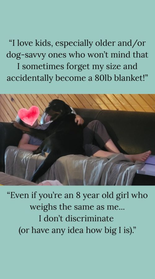 Luna the Rottweiler laying on top of my 8 year old girl who was laying on the couch because she loves to be close and cuddle but has no idea how big and heavy she is